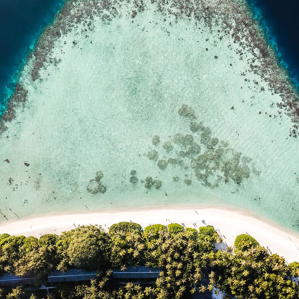 Beauty Of Solomon Island And Love
