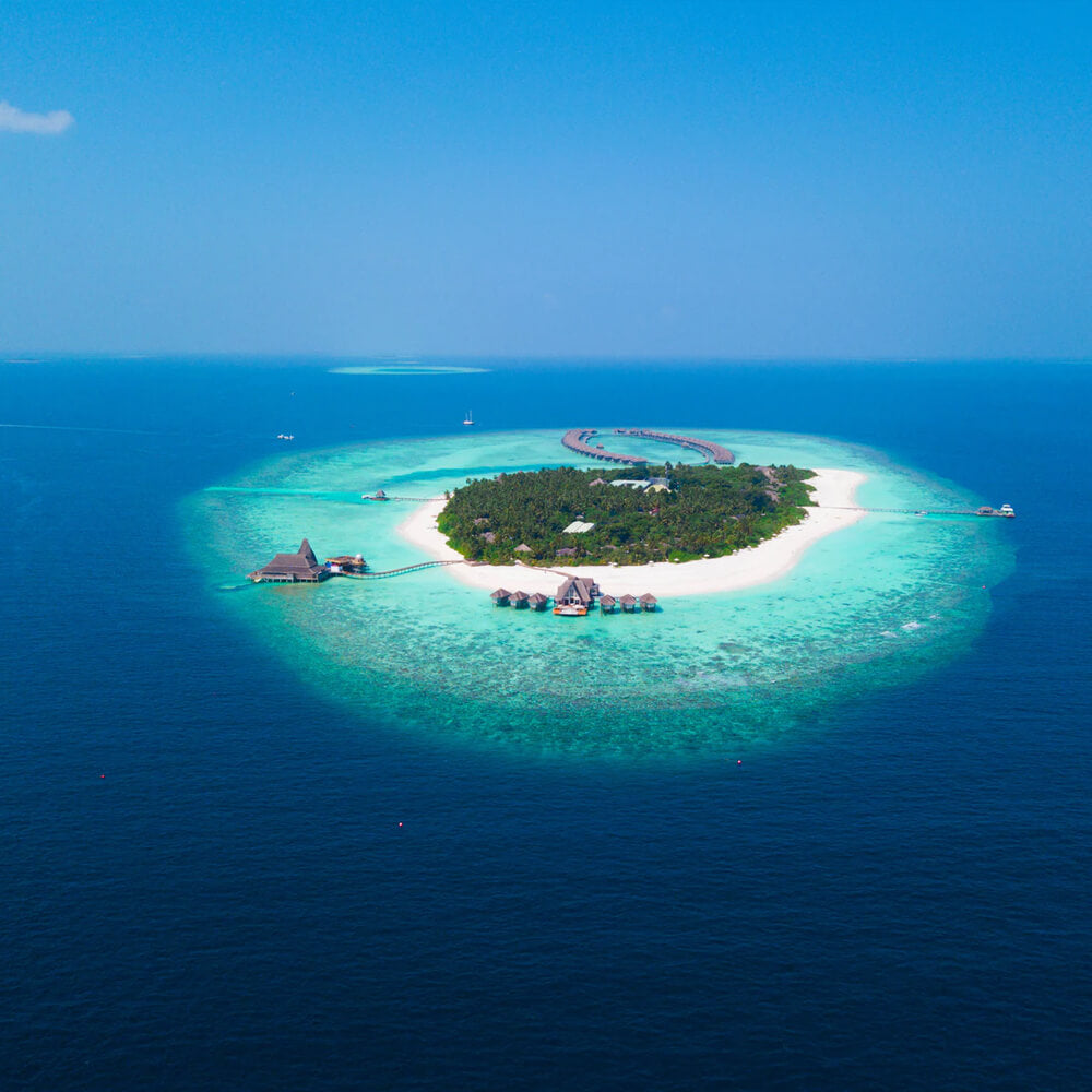 Beauty Of Solomon Island And Love