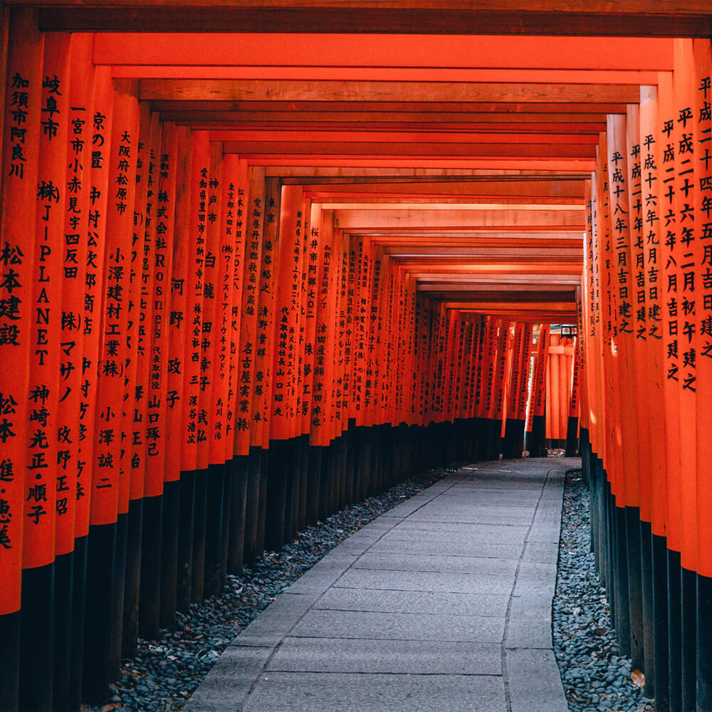 Discover Japan