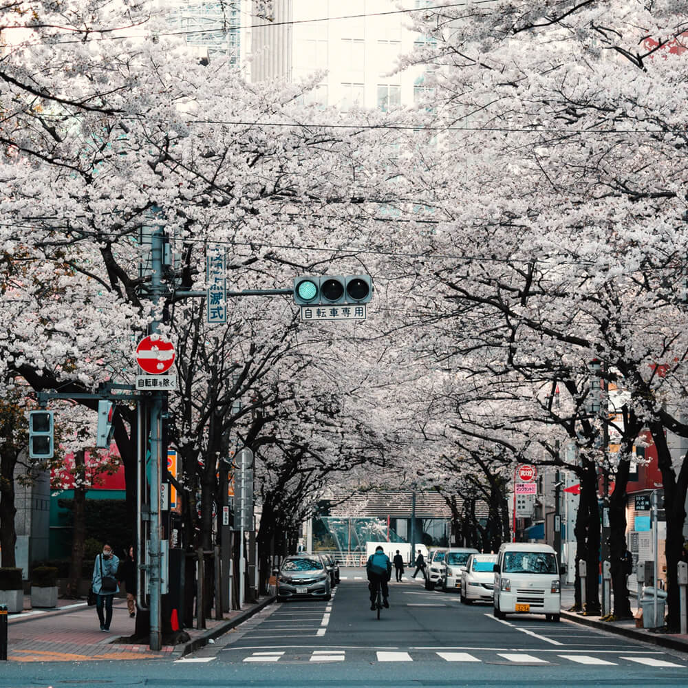 Discover Japan