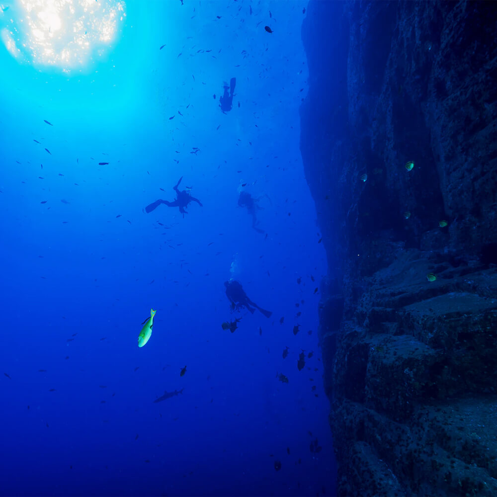 Diving Adventure