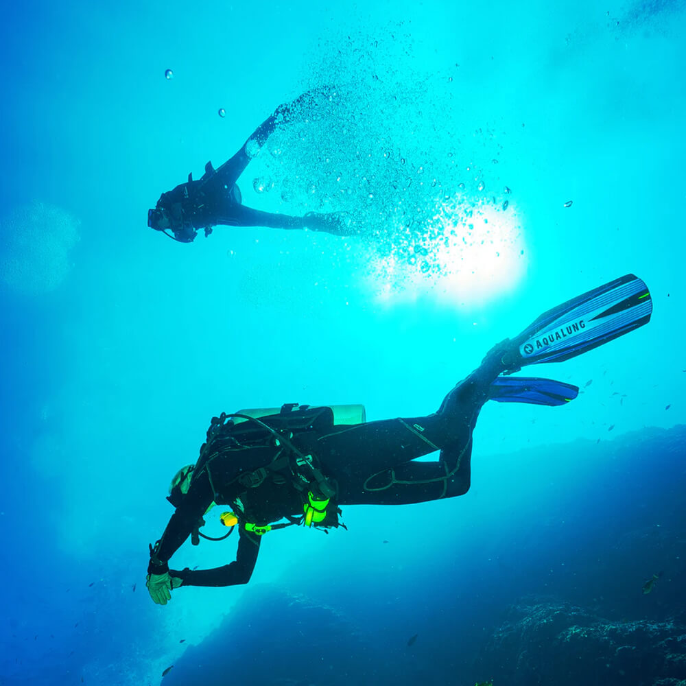 Diving Adventure