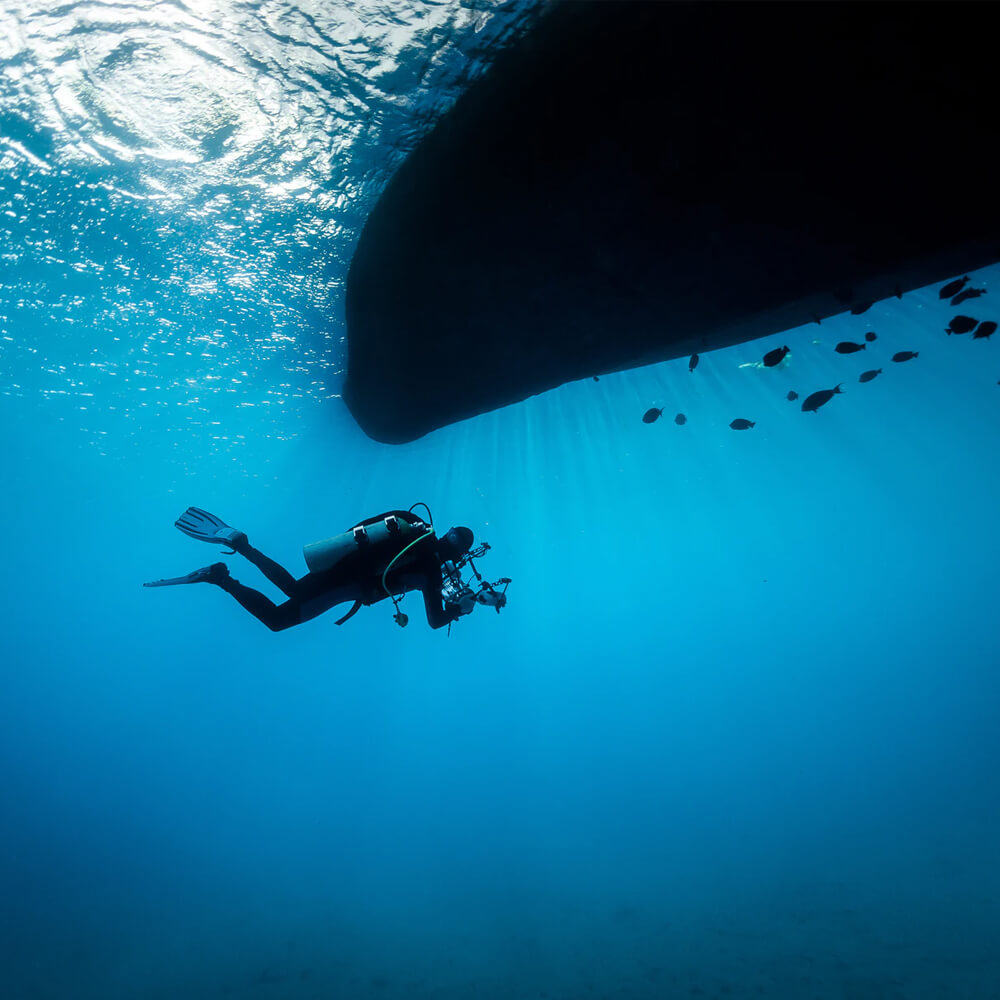 Diving Adventure