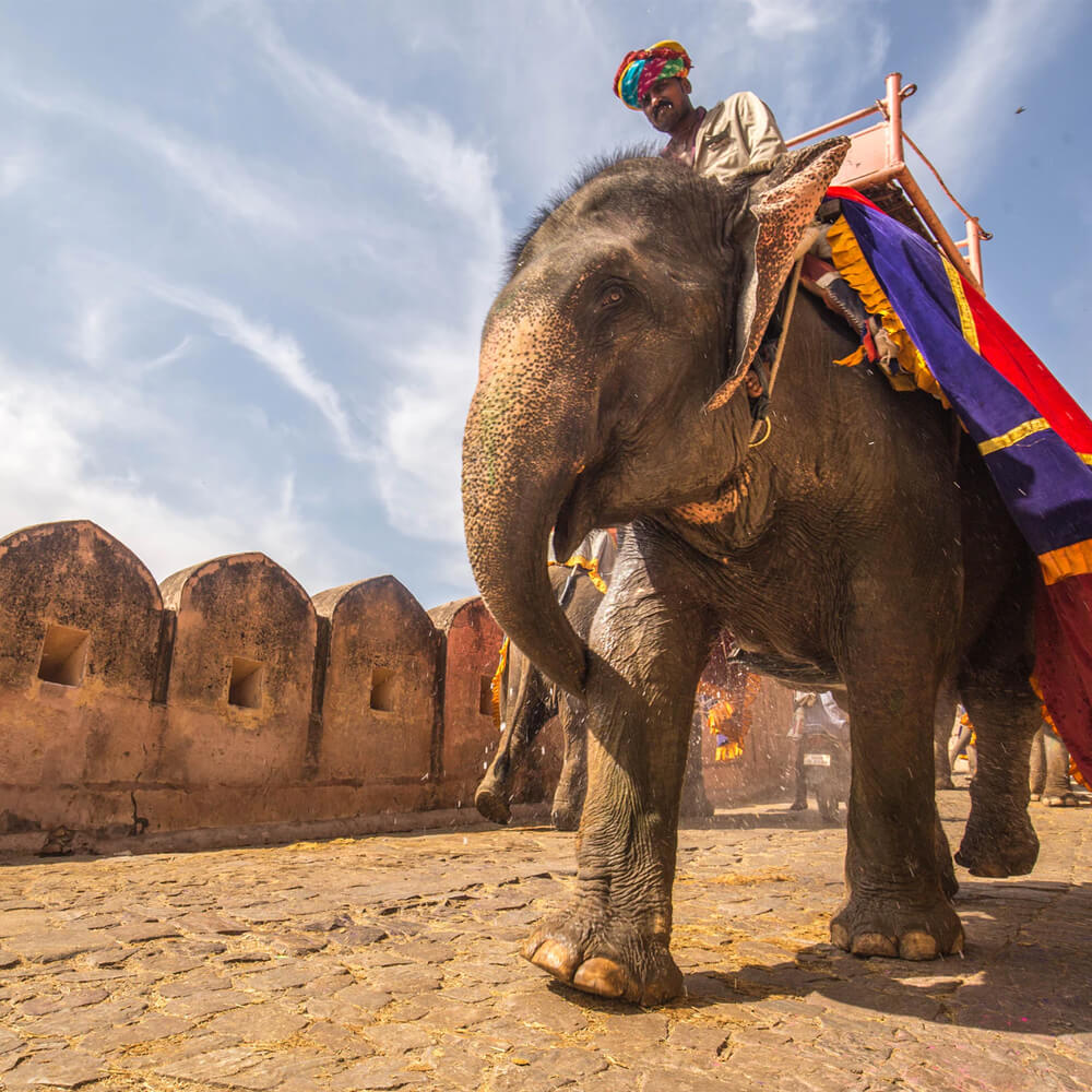 India Is For Everyone
