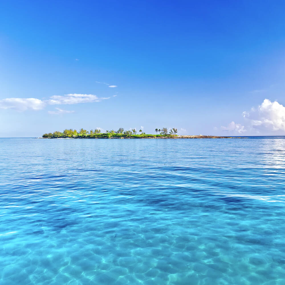 Proof That Bahamas Beauty Really Works
