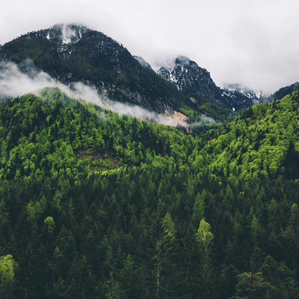 Now You Can Have Your Slovenia