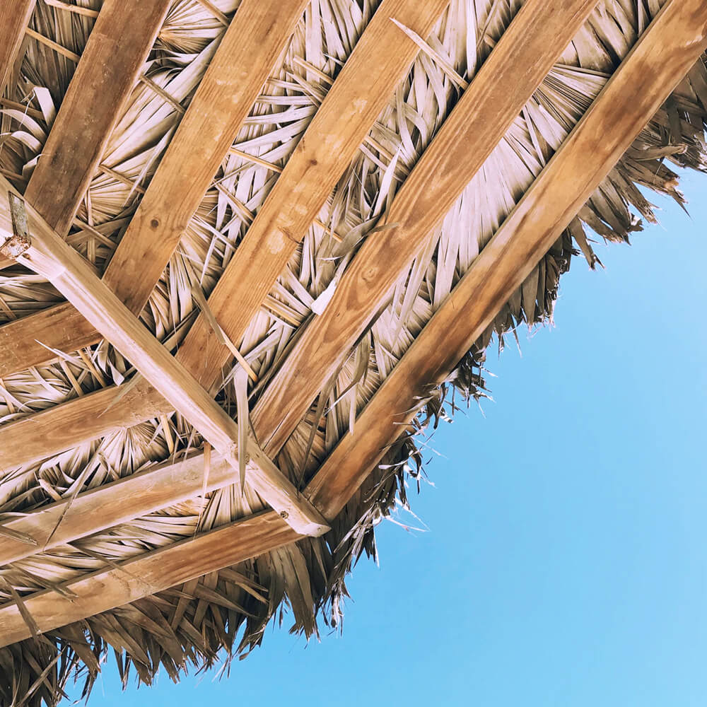 Proof That Bahamas Beauty Really Works